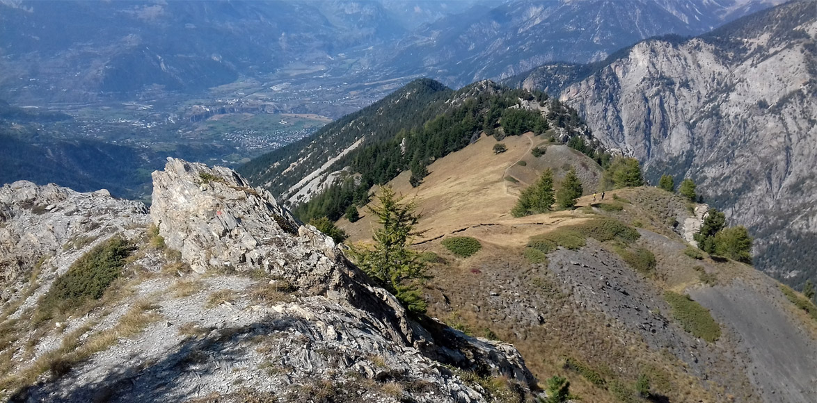 Direction col de la scie