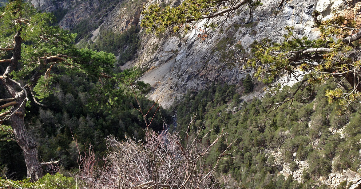 Vue sur le chemin des gorges